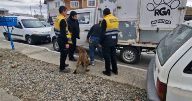 El municipio intervino ante denuncia penal por maltrato animal