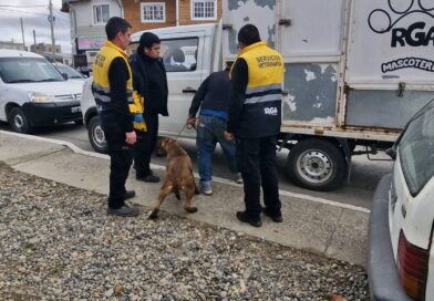 El municipio intervino ante denuncia penal por maltrato animal
