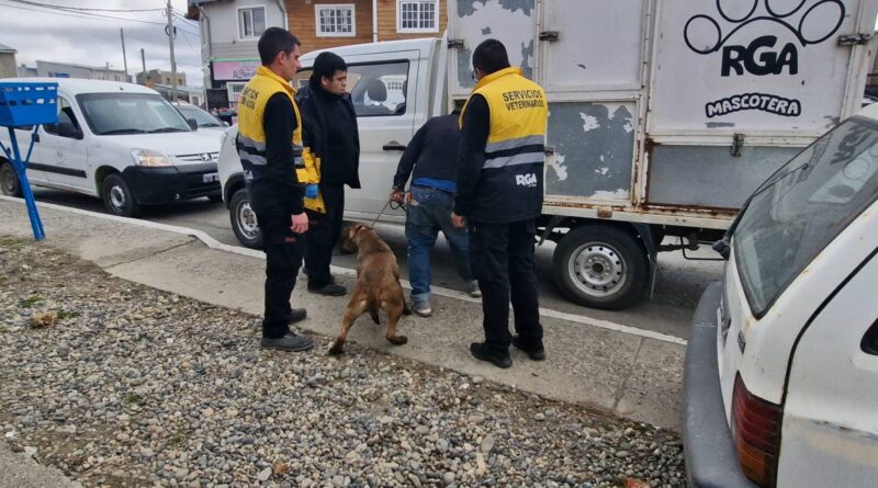 El municipio intervino ante denuncia penal por maltrato animal